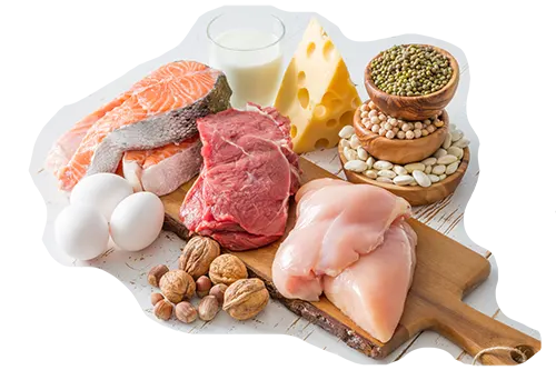 protein